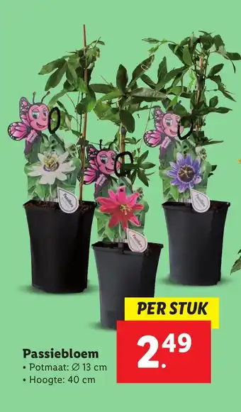 Lidl Passiebloem aanbieding