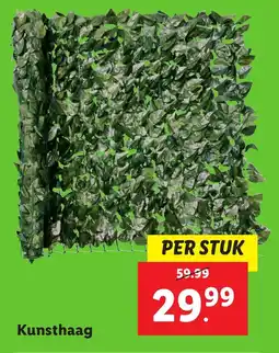 Lidl Kunsthaag aanbieding