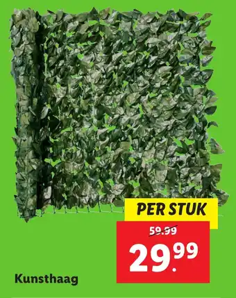 Lidl Kunsthaag aanbieding