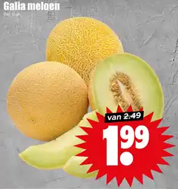 Dirk Galia meloen aanbieding