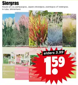Dirk Siergras aanbieding