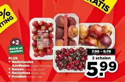 PLUS PLUS Nederlandse Aardbeien, Kersen, Nectarines of Perziken aanbieding