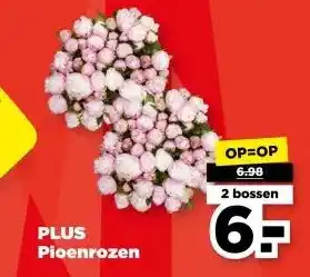 PLUS PLUS Pioenrozen aanbieding
