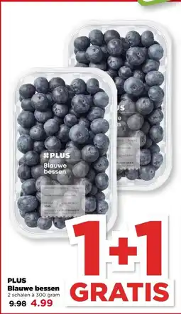 PLUS PLUS Blauwe bessen aanbieding