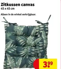 Kruidvat Zitkussen canvas aanbieding