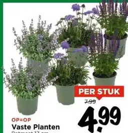 Vomar Voordeelmarkt Vaste Planten aanbieding