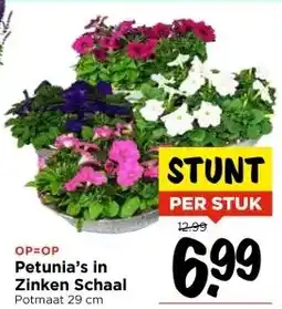 Vomar Voordeelmarkt Petunia's in Zinken Schaal aanbieding