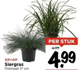 Vomar Voordeelmarkt Siergras aanbieding