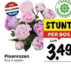 Vomar Voordeelmarkt Pioenrozen aanbieding