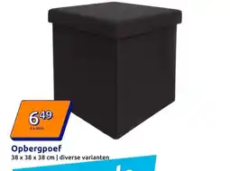 Action Opbergpoef aanbieding