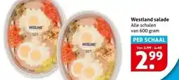 Hoogvliet Westland salade aanbieding