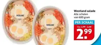 Hoogvliet Westland salade aanbieding
