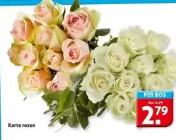 Hoogvliet Korte rozen PER BOS aanbieding