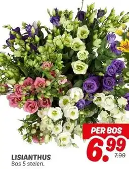 Dekamarkt LISIANTHUS aanbieding