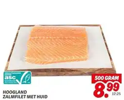 Dekamarkt HOOGLAND ZALMFILET MET HUID aanbieding