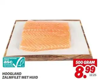 Dekamarkt HOOGLAND ZALMFILET MET HUID aanbieding