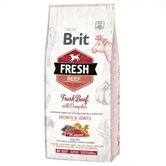 Zooplus Brit Fresh Rund met pompoen Puppy Large - Dubbelpak: 2 x 12 kg aanbieding