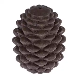Zooplus TIAKI intelligentie speelgoed dennenappel 12x 9x 9cm hond aanbieding