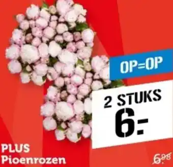 Coop PLUS Pioenrozen aanbieding
