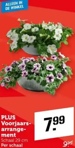 Coop PLUS Voorjaarsarrangement aanbieding