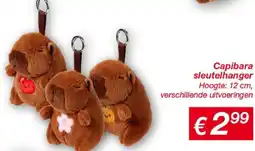 Kik Capibara sleutelhanger aanbieding