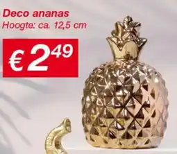 Kik Deco ananas aanbieding