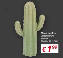 Kik Deco cactus aanbieding