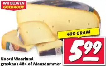 Nettorama Noord Waarland graskaas 48+ of Maasdammer aanbieding