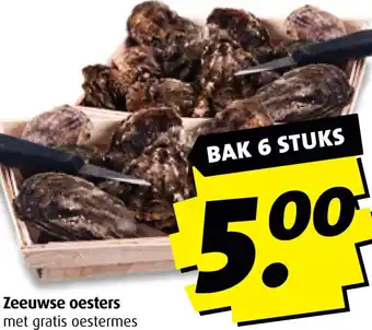 Boni Zeeuwse oesters aanbieding