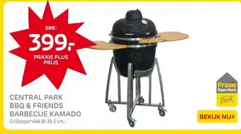 Praxis CENTRAL PARK BBQ & FRIENDS BARBECUE KAMADO aanbieding