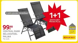 Praxis CENTRAL PARK RELAXSTOEL PALMA aanbieding