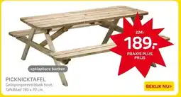 Praxis PICKNICKTAFEL aanbieding