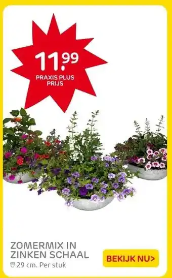 Praxis ZOMERMIX IN ZINKEN SCHAAL aanbieding
