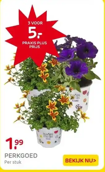 Praxis PERKGOED aanbieding