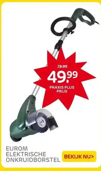 Praxis EUROM ELEKTRISCHE ONKRUIDBORSTEL aanbieding