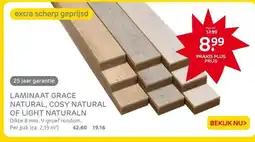 Praxis LAMINAAT GRACE NATURAL, COSY NATURAL OF LIGHT NATURALN aanbieding