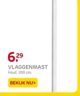 Praxis VLAGGENMAST aanbieding