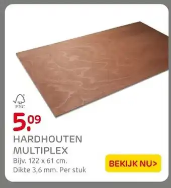 Praxis HARDHOUTEN MULTIPLEX aanbieding