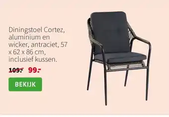 Intratuin Diningstoel Cortez, aluminium en wicker, antraciet, 57 x 62 x 86 cm, inclusief kussen. aanbieding