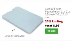 Intratuin Coolpad voor knaagdieren. 21 x 21 x 3,5 cm of 30 x 20 x 2 cm. aanbieding