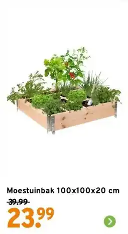 GAMMA Moestuinbak 100x100x20 cm aanbieding