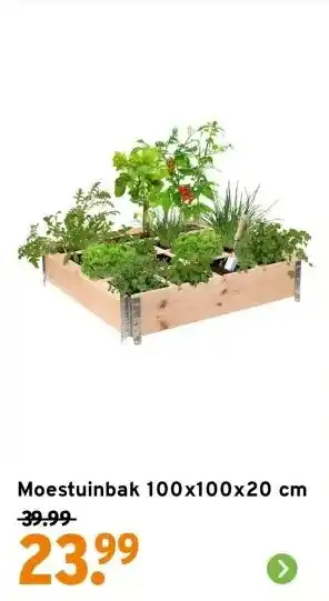 GAMMA Moestuinbak 100x100x20 cm aanbieding