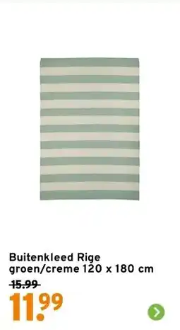 GAMMA Buitenkleed Rige groen/creme 120 x 180 cm aanbieding