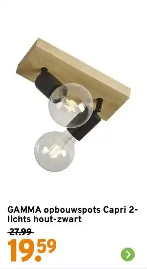 GAMMA GAMMA opbouwspots Capri 2-lichts hout-zwart aanbieding