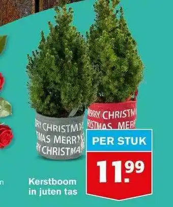 Hoogvliet Kerstboom In Juten Tas aanbieding