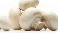 Ekoplaza WITTE CHAMPIGNONS aanbieding