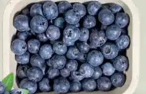 Ekoplaza BLAUWE BESSEN aanbieding