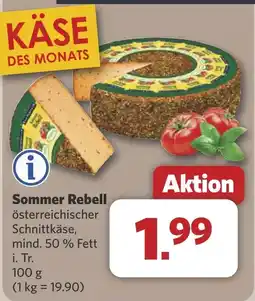 Combi Sommer Rebell aanbieding