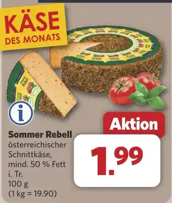 Combi Sommer Rebell aanbieding
