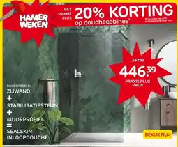 Praxis ZIJWAND + STABILISATIESTEUN + MUURPROFIEL = SEALSKIN INLOOPDOUCHE aanbieding